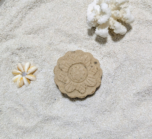 Solid Shampoo - Shikakai